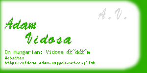 adam vidosa business card